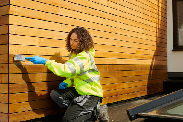 Best Insulated Siding Installation  in Chama, NM